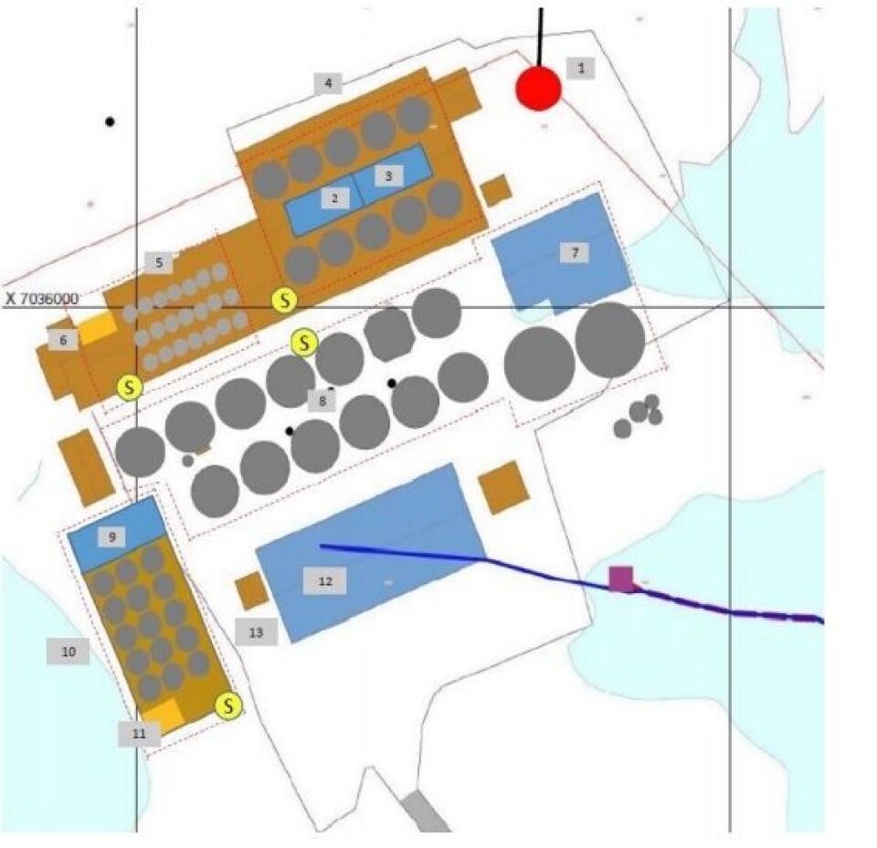 Vil doble smoltproduksjonen