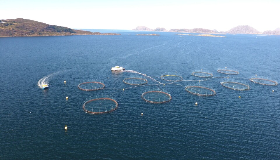 Svanøy Havbruk sitt resultat i 2023 gikk opp. Her ser du et bilde av deres lokalitet Oddane.