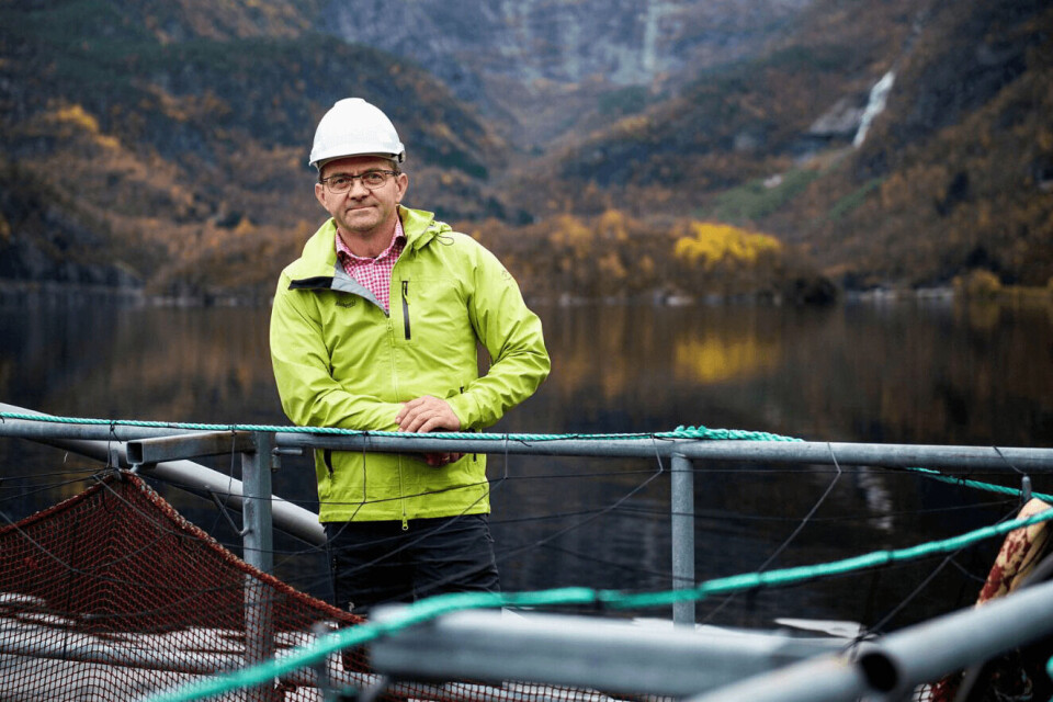 Frode Oppedal i Havforskningsinstituttet svarer på kritikken fra Stingray angående forskning på luselasere. Foto: Christine Fagerbakke