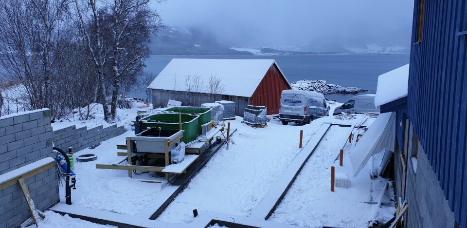 Skjerneset fisk bygger for tiden ut anlegget for å få plass til flere rognavdelinger. Dette arbeidet er estimert skal koste rundt fem-ti millioner kroner. Foto: Skjerneset fisk.