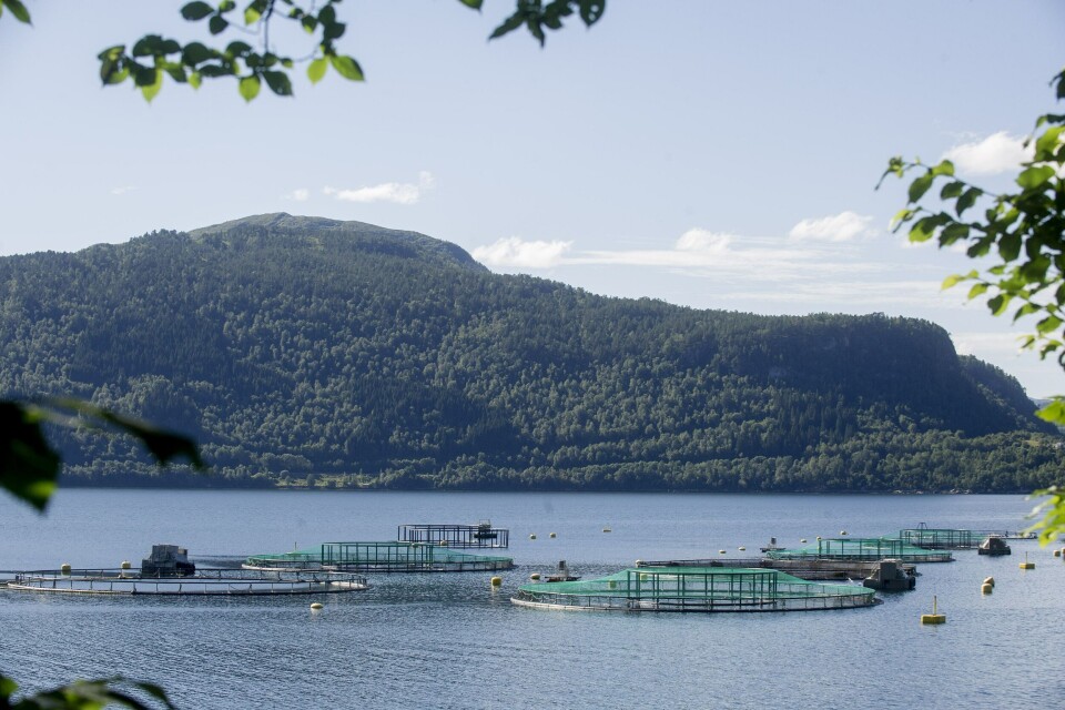 Aquagen sin lokalitet i Tingvollfjorden. Foto: Aquagen