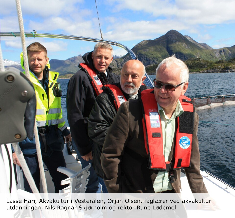 Lasse Harr, akvakultur i Vesterålen, Ørjan Olsen, faglærer ved akvakultur-utdanningen, Nils Ragnar Skjørholm og rektor Rune Lødemel.