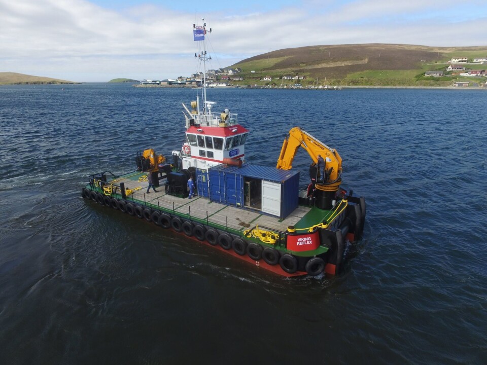 Viking Reflex er en av arbeidsbåtene til det skotske brønnbåt- og serviceselskapet Johnson Marine Ltd. Foto: Johnson Marine Ltd.