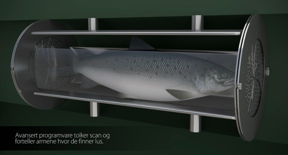 Vil fjerne lakselus med mekanisk leppefisk