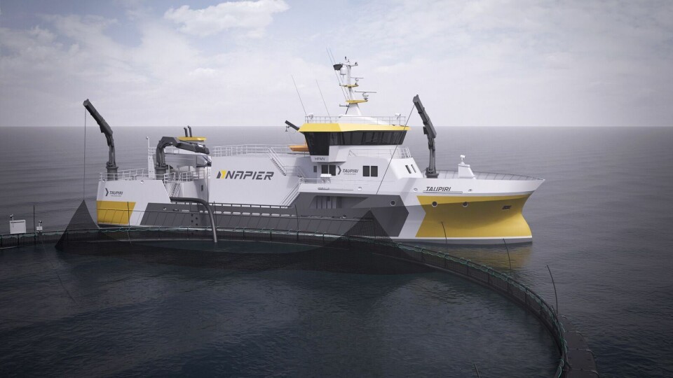 «Taupiri» skal etter planen ferdigstilles våren 2019. Den har samme dimensjoner som «Taupo». Selskapet har foreløpig ikke fått kontrakt på den, men leter nå etter en signatur. Foto: Napier.