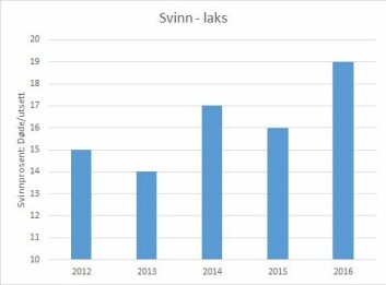 Svinnet målt som antall døde delt på antall utsatte, steg i 2016. Datakilde: Fiskehelserapporten 2016. (Klikk på bildet for større).
