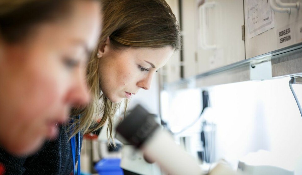 Prosjektleder Lene Kleppe har fått forskingsmidlar i kategorien Unge forskertalenter. Fotograf: Erlend A. Lorentzen / Havforskningsinstituttet
