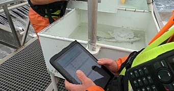 Systematiserer og automatiserer viktige fiskehelsedata