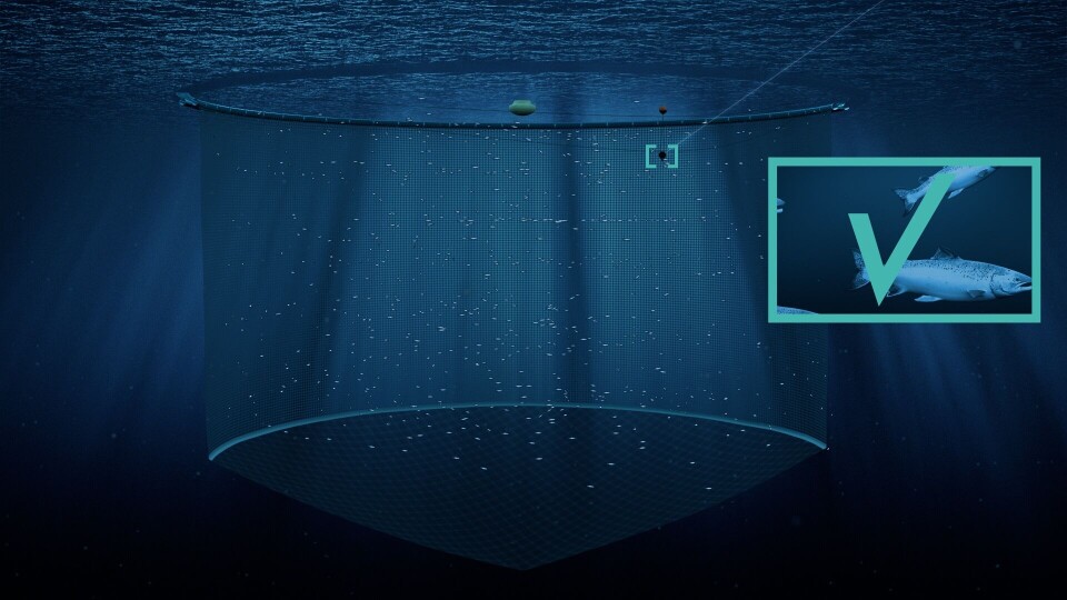 Illustrasjon/visualisering: Aquabyte