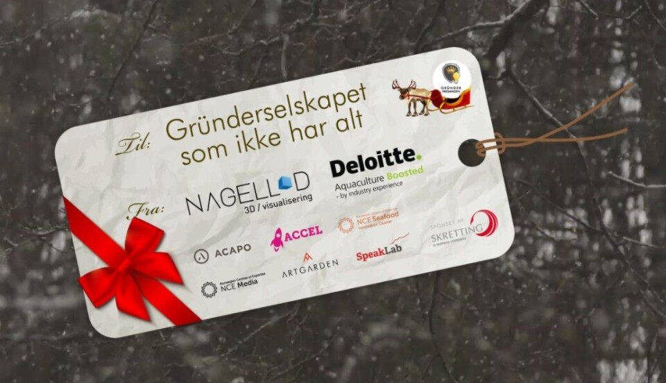 Grunderjulepresang ordningen har i år fått inn rekordmange søkere. Foto: Screenshot/grunderjulepresangen.no.
