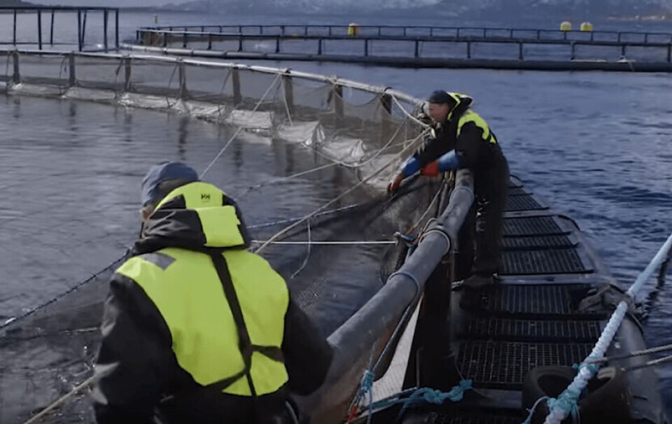 Skjermdump fra Ocean of opportunities video.