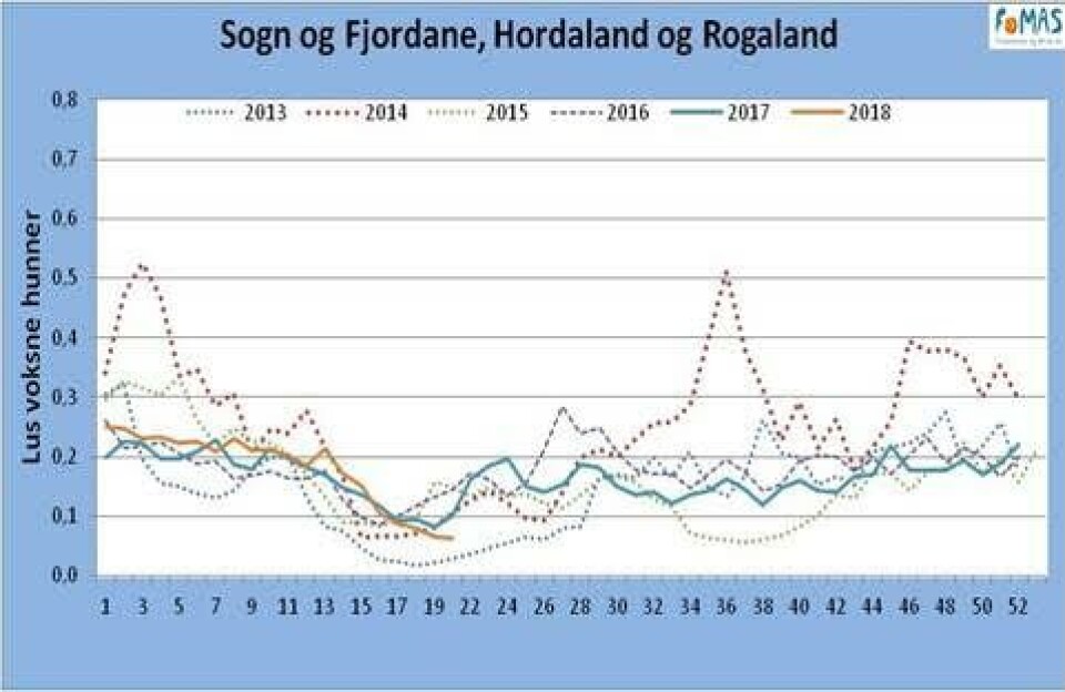 Lus voksne hunner. Kilde: Fomas.  (Klikk for større).