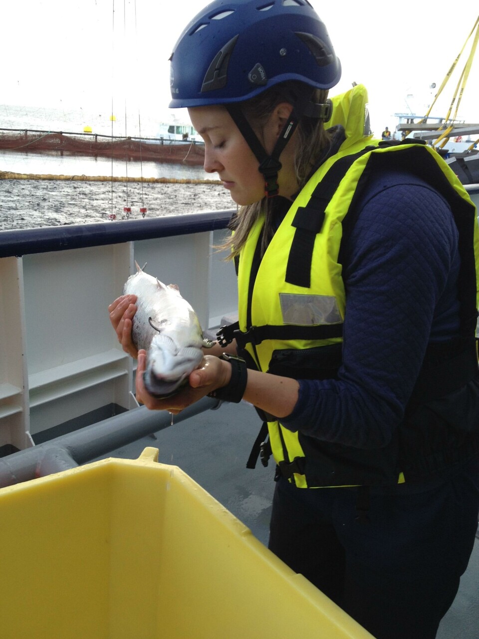 Aoife K.M. Westgård er veterinær ansatt i Aqua Kompetanse AS og medforfatter på artikkelen. Foto: Privat.
