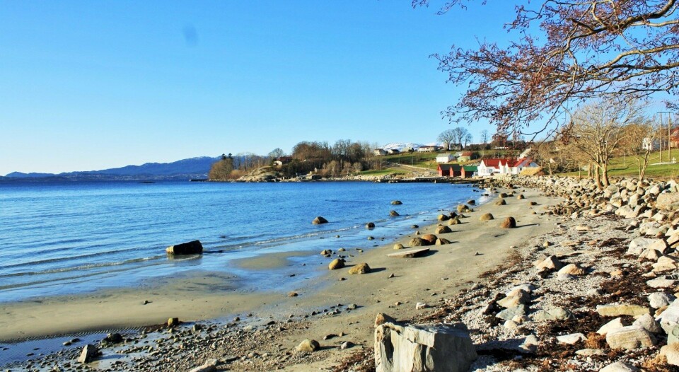 I forrige uke satte engasjerte ildsjeler i gang arbeidet med å rydde opp etter «Tor», blant annet på Karmøy. Bildet er fra Sandvikjo på Halsnøy i Kvinnherad, der tre containere med søppel ble fylt til randen etter orkanen «Nina». I forrige uke satte engasjerte ildsjeler i gang arbeidet med å rydde opp etter «Tor», blant annet på Karmøy. Bildet er fra Sandvikjo på Halsnøy i Kvinnherad, der tre containere med søppel ble fylt til randen etter orkanen «Nina».
