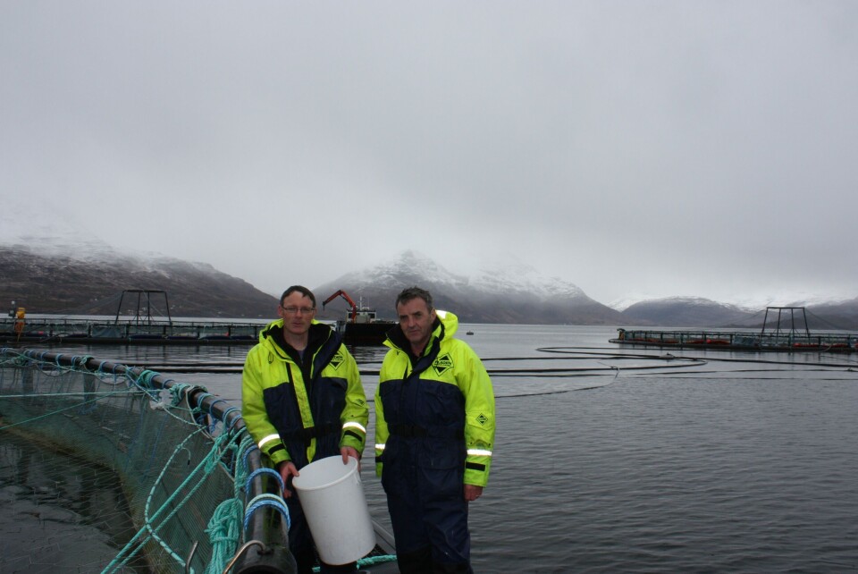 Gregor Cushnie og Ronnie Hawkins ved Marine Harvests lokalitet Torridon, som nylig har blitt fylt med 73 000 rognkjeks. Foto: Rob Fletcher.