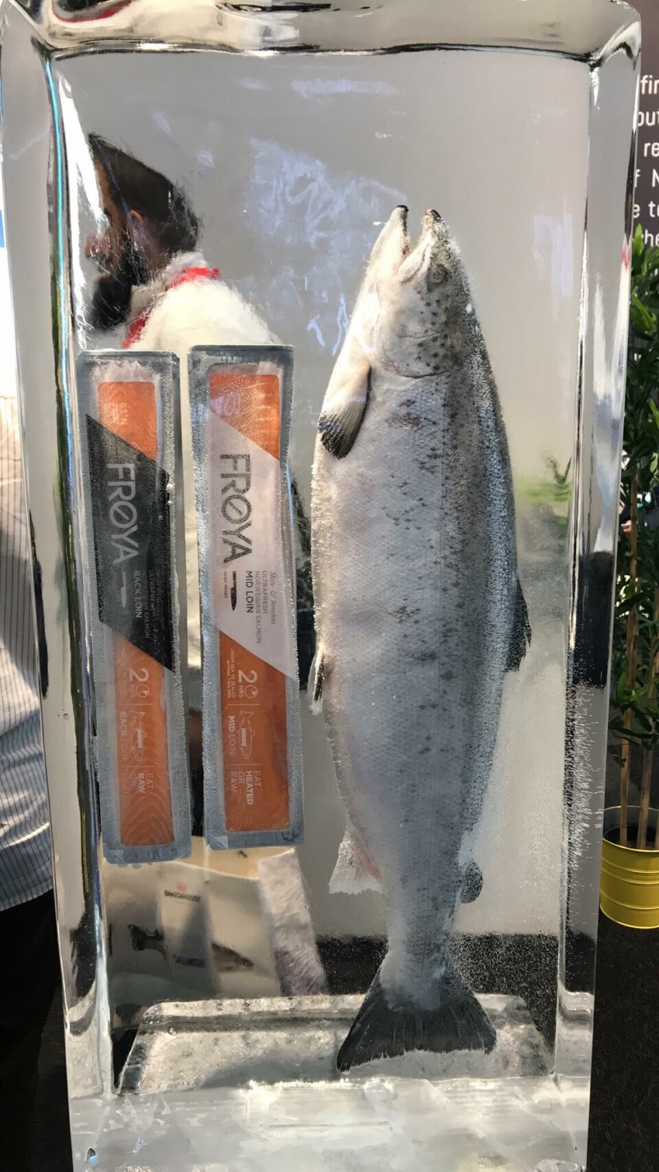 Sjømataktører fra hele verden kommer til Brussel for å vise frem sine produkt. Her ser du sushi-laks fra Frøya. Foto: Alex Phan/Kyst.no.