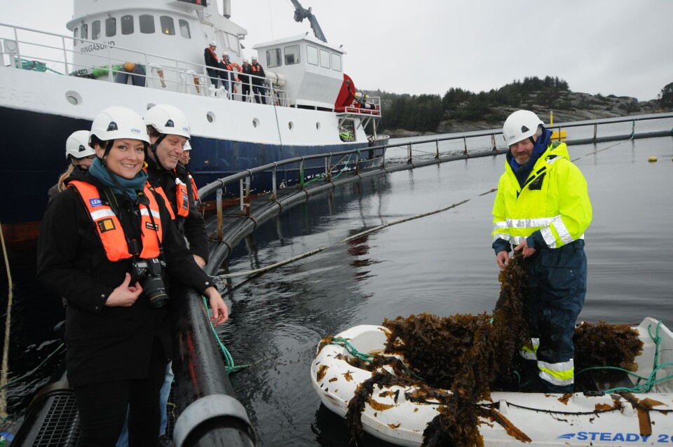 Illustrasjonsfoto. Foto: Pål Mugaas Jensen