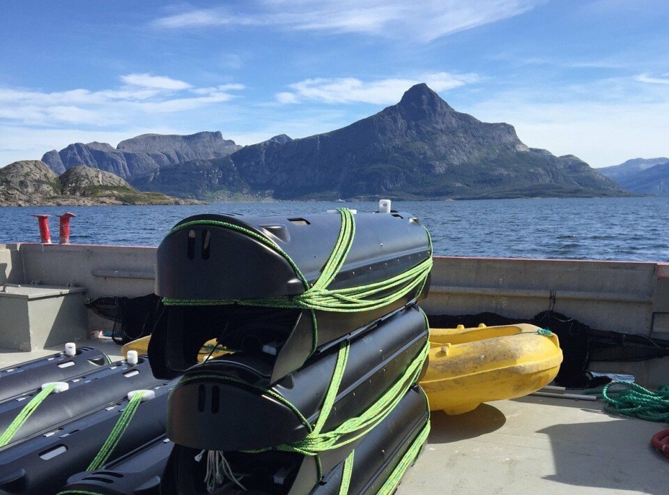 SeaNest skal gi rensefisk skjul og hvile, og gründerne bak produktet forteller om stor interesse fra næringen. Foto: Estro AS.