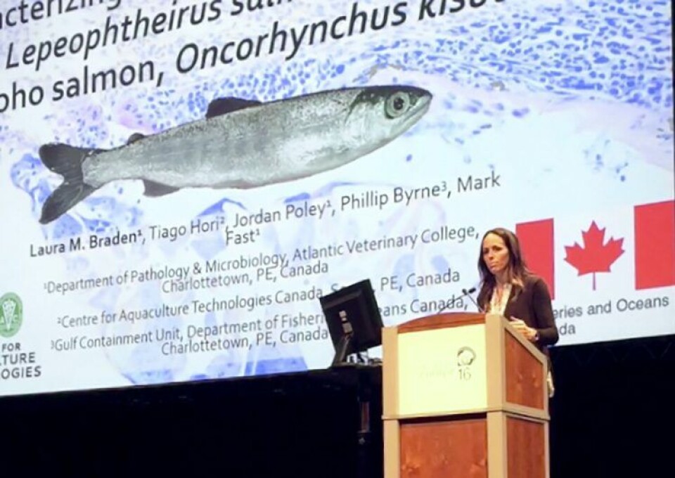 Laura Braden presenterte forskning rundt resistens mot lakselus under Sea Lice Conference i Westport i Irland nylig.