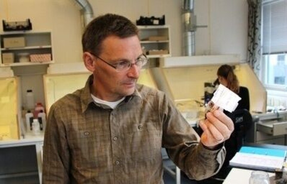 Seniorforsker og marinbiolog Thomas Dahlgren på laboratoriet SAM-Marin i Uni Research Miljø. Foto: Andreas R. Graven