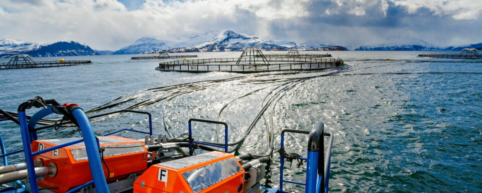 Lerøy Seafood hadde det selskapet som gjorde det best i Norge i fjerdekvartal. Og de hadde det som gjorde det dårligst. Foto: Lerøy Seafood.
