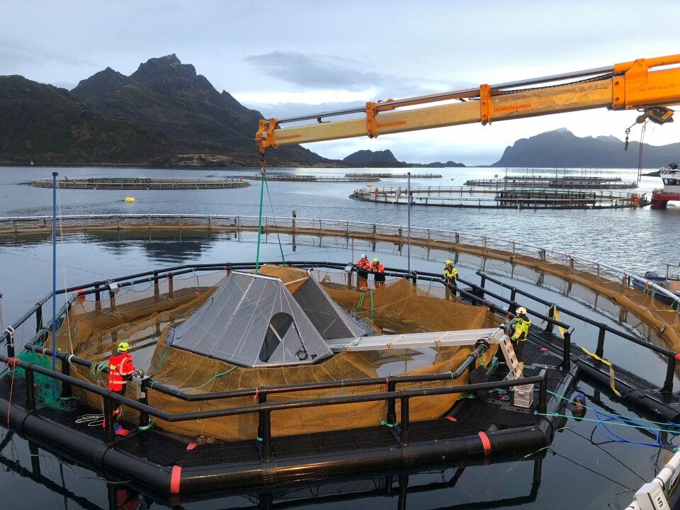 Utsett av iFarm-utstyr på sjø-anlegg i Vesterålen. Foto: Cermaq Utsett av iFarm-utstyr på sjø-anlegg i Vesterålen. Foto: Cermaq