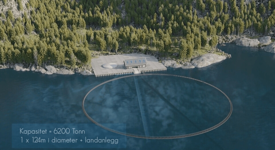 Illustrasjon av «Lukka Landnot».Illustrasjonsfoto: Salmon Sustainable