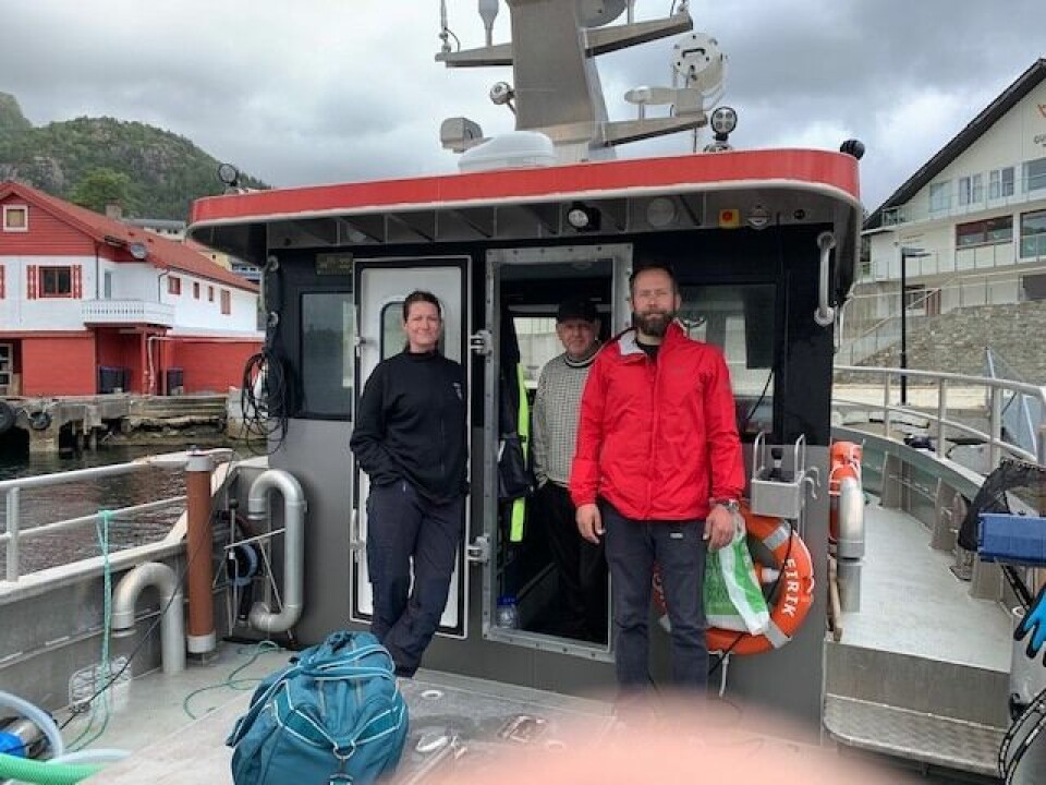 Gunn Heid Tangen og Michal Rejner er forskere ved Havforskningsinstituttet. De er for tiden på lusetellingstur for å dokumentere hvor mye lus som setter seg på laks og ørret i fjordene. Foto: Laila Indrebø