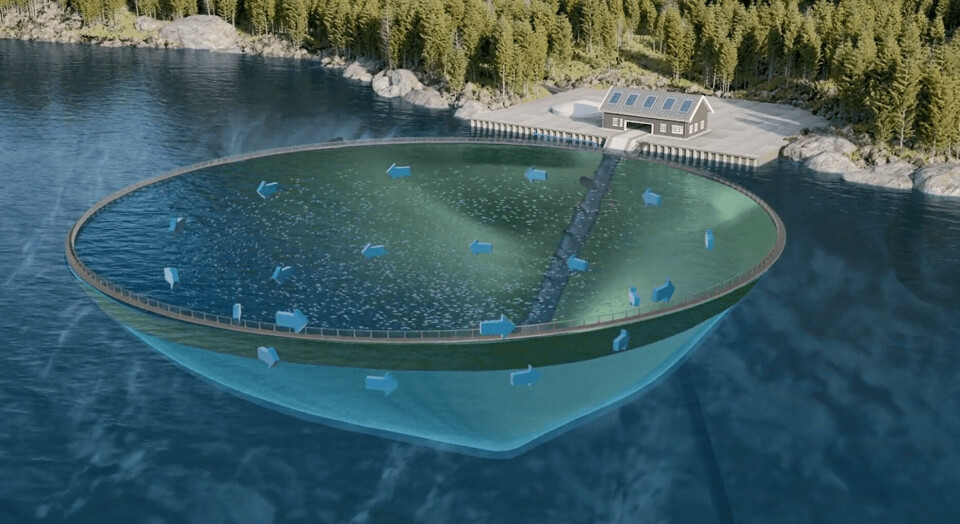 Sustainable Salmon AS fikk nylig beskjed om at søknaden deres om åtte utviklingstillatelser ble avslått. Illustrasjonsfoto: Sustainable Salmon AS