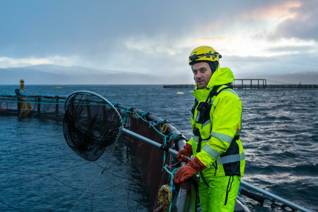 Lerøy Aurora er en av mange oppdrettere nord i Norge som har et høyt fokus på fiskevelferd og jobber hardt for å unngå vintersår på fisken. Foto: LSG.