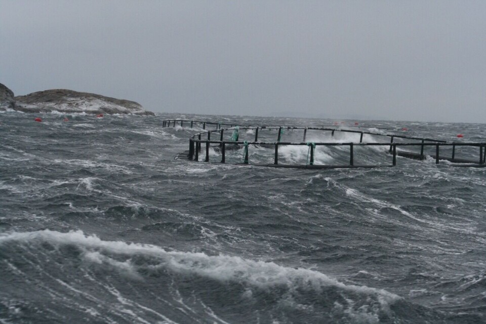 Illustrasjonsfoto merd i storm og uvær. Foto: SFI Exposed/Marius Dahle Olsen.