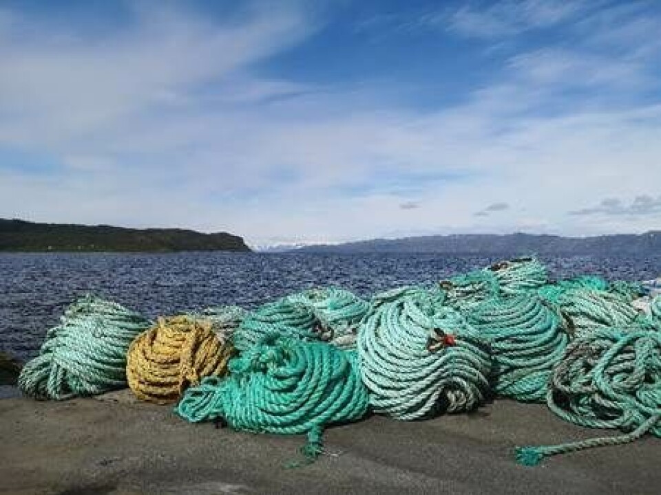 Kasserte taukveiler fra Grieg Seafood Finnmark. Foto: Kari Torp / Bellona Kasserte taukveiler fra Grieg Seafood Finnmark. Foto: Kari Torp / Bellona