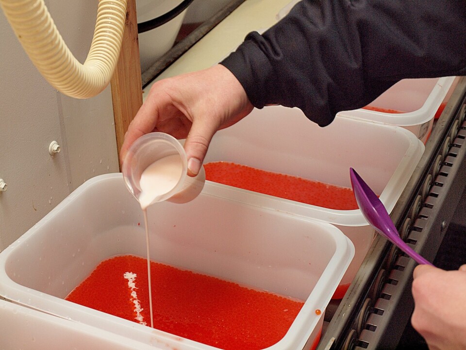 Selskapet innfører nå strenge smittehygieniske rutiner også for folk. Foto: AquaGen
