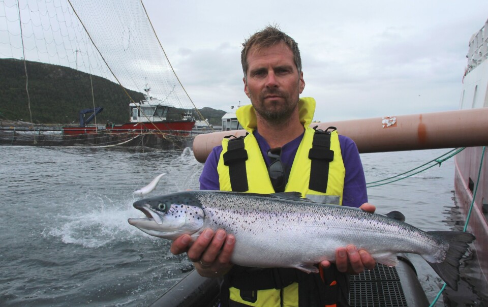 – Mekanisk avlusing fungerer godt og er svært skånsom for fisken, melder produksjonssjef John-Ove Sinkaberg. I 2015 renset SinkabergHansen AS totalt 50.000 tonn laks via SkaMik. Foto: SinkabergHansen.