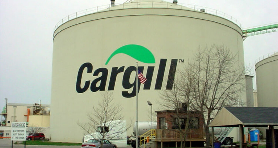 Cargills siste initiativ, SeaFurther Sustainability, skal hjelpe fiskeoppdrettere med å produsere mer bærekraftig sjømat med mindre miljøpåvirkning. Foto: Cargill