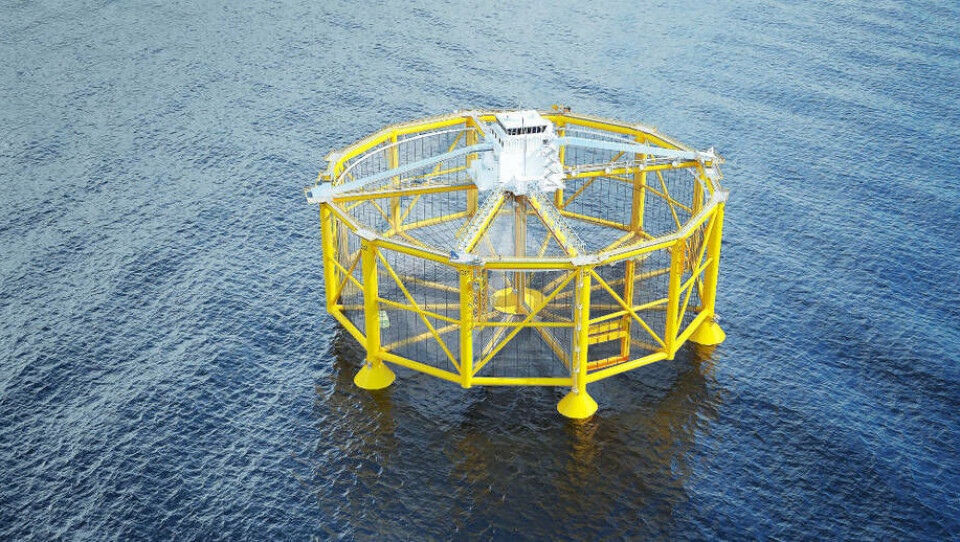 Det rømte 16 000 laks fra Salmars offshore havmerd. Foto: Salmar.