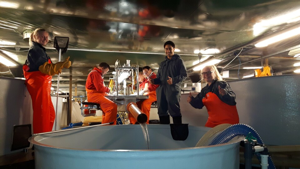 Ansatte hos Tjeldbergodden Rensefisk. Fra venstre: Marianne Stormyr, Aleksander David Ås og Ann Kristin Kjørsvik. Ellers er det folk fra Wingvaks. Foto: Tjeldbergodden Rensefisk.