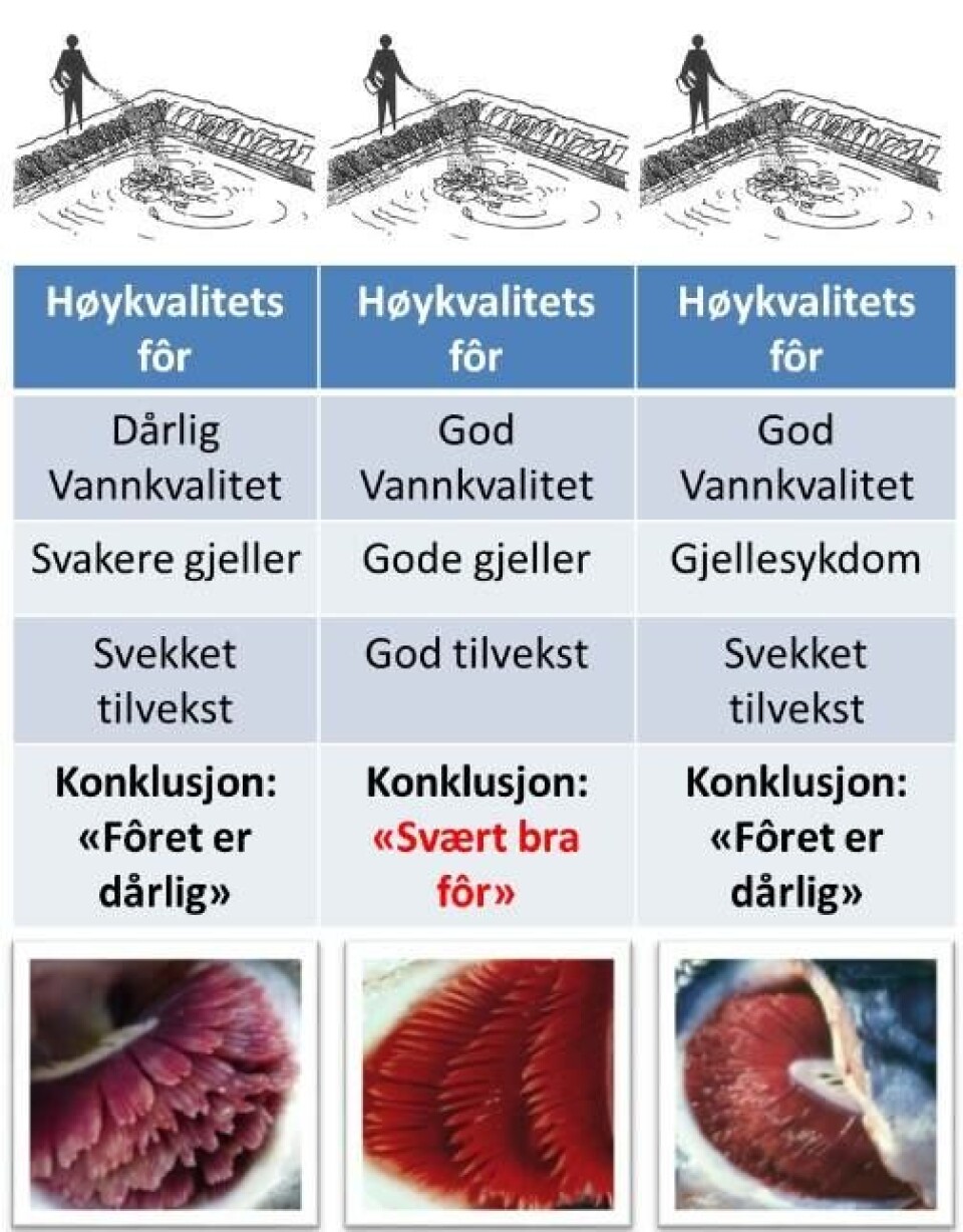 Et større prosjekt viste oss at vi kunne se allerede lenge før slakt hvilke grupper som var tapere og vinnere i prosjektet, kun basert på slimhinneanalyser av gjellene. Det påvirker både bunnlinjen, MTB og produksjonsplanlegging i stor grad, hevder Olje Jacob Myre og Karin Pittman fra Quantidoc. Foto: Quantidoc. Et større prosjekt viste oss at vi kunne se allerede lenge før slakt hvilke grupper som var tapere og vinnere i prosjektet, kun basert på slimhinneanalyser av gjellene. Det påvirker både bunnlinjen, MTB og produksjonsplanlegging i stor grad, hevder Olje Jacob Myre og Karin Pittman fra Quantidoc. Foto: Quantidoc.