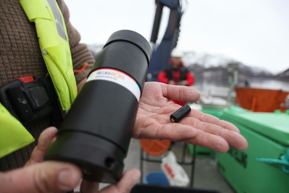 Mottaker (t.v.) og sender (t.h.) brukes for å følge fisken ved hjelp av lydsignaler gjennom vannmassen. Foto: Jo Espen Tau Strand.