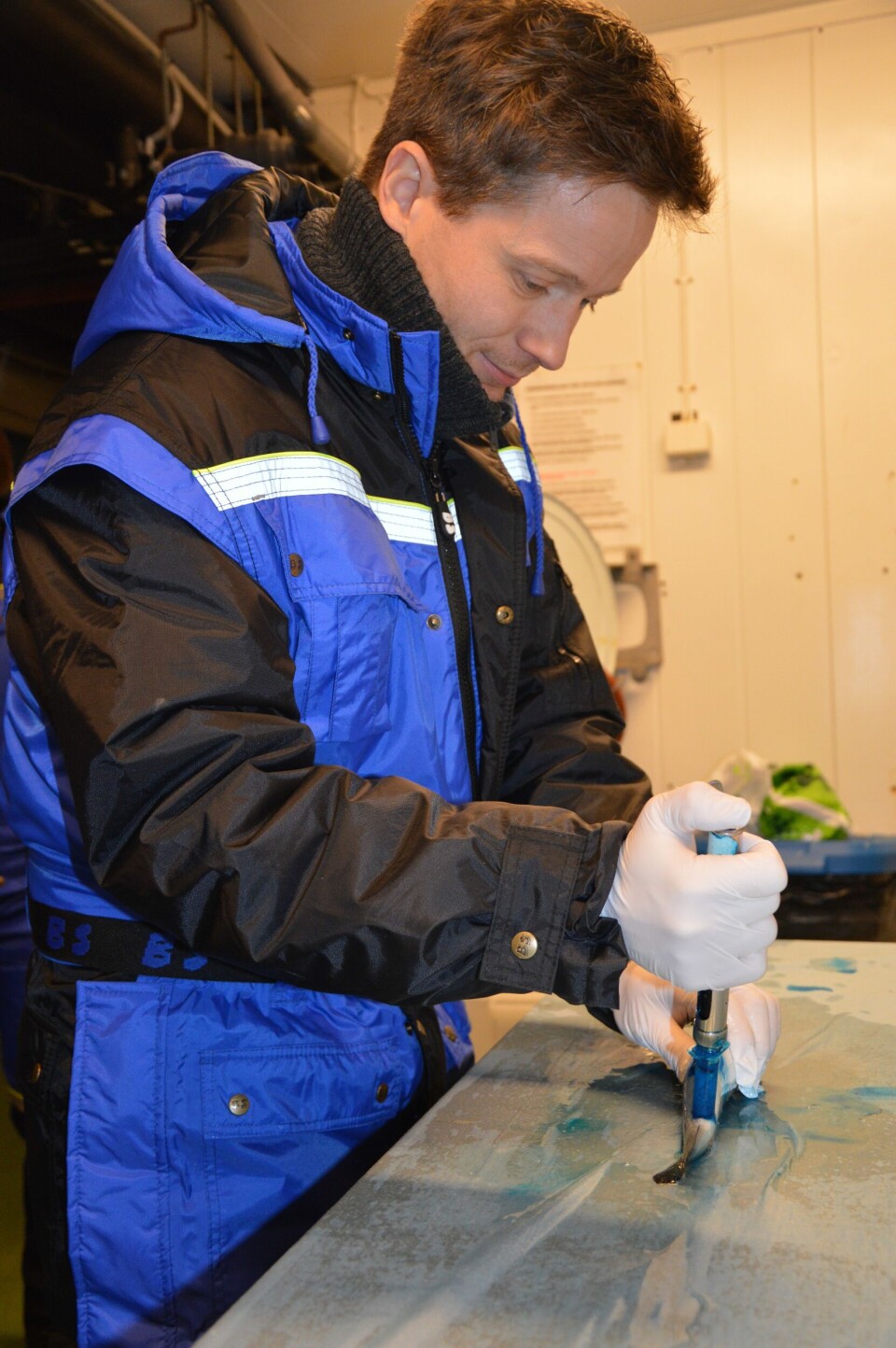 Tom Hansen, produktsjef i Biotec merker laksen som de har fôret med M-glukan for å se om det kan øke motstandskraften mot virus. .