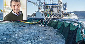 Tester ut ny avluser: - Vil forbedre fiskevelferden