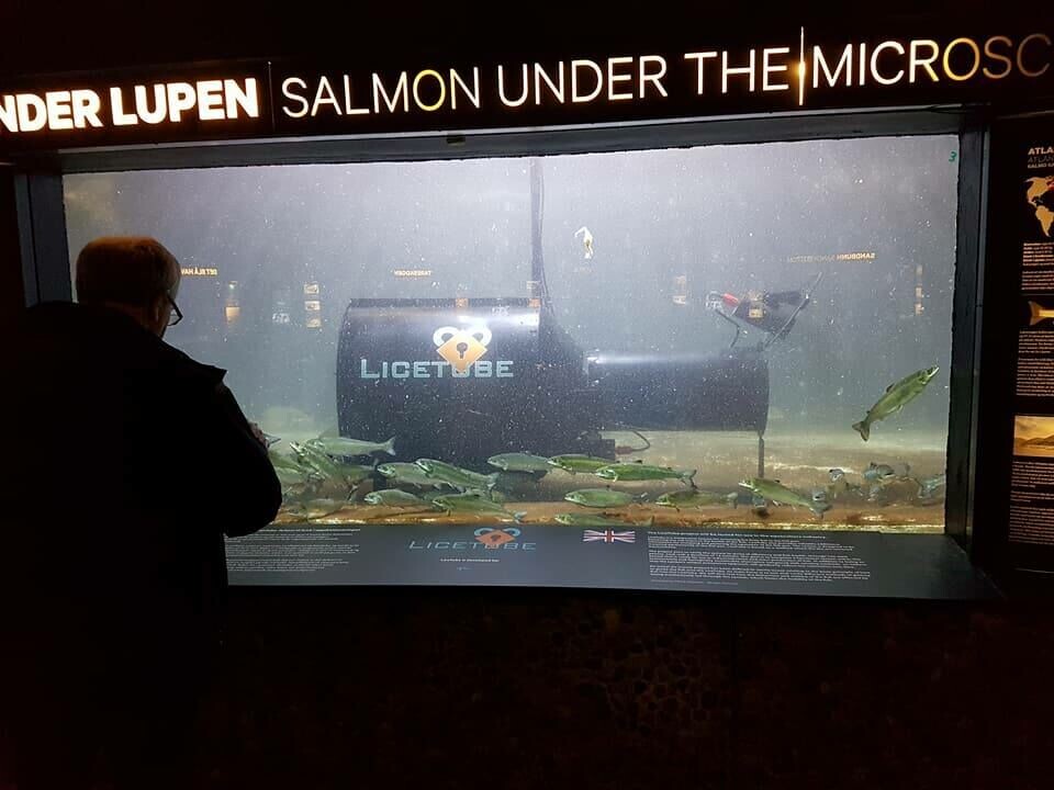 LiceTube installert på Akvariet i Bergen Foto: CLT Solutions