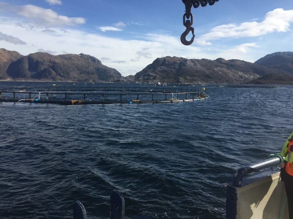 Lokaliteten Kjeringeholmen til Firda Seafood er nå tatt i bruk. Foto: Kurt Hatlem.
