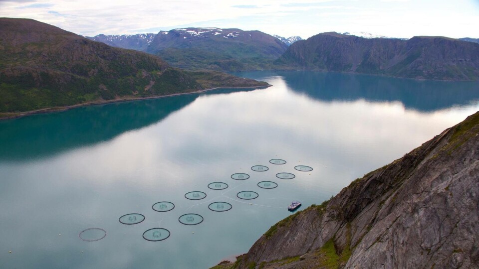 Grieg Seafood Finnmark har hatt biologiske utfordringer i første kvartal. Foto: GSF/Trude Elisabeth Østvedt