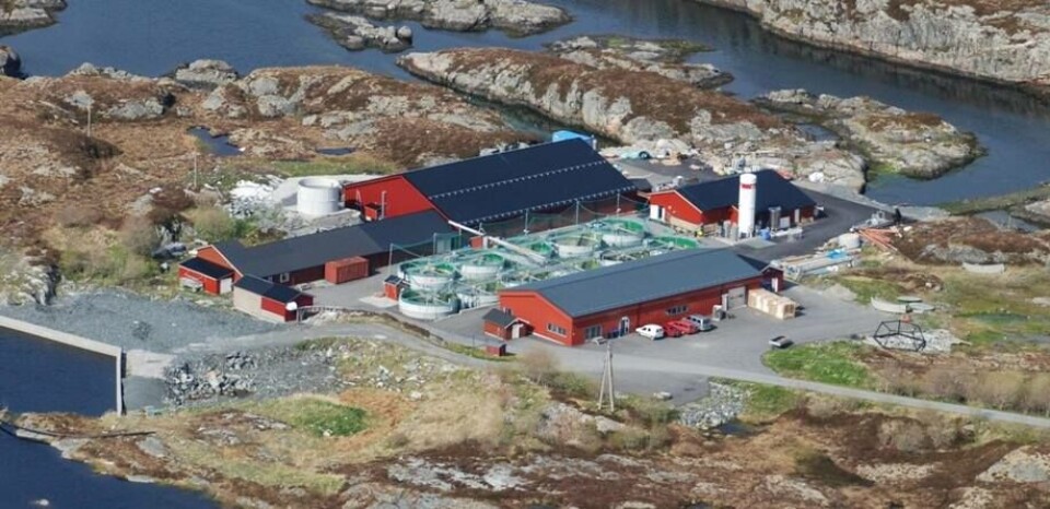 Smøla klekkeri og settefiskanlegg er en lokaleid bedrift lokalisert på Smøla i Møre og Romsdal. Foto: Smøla klekkeri og settefiskanlegg.
