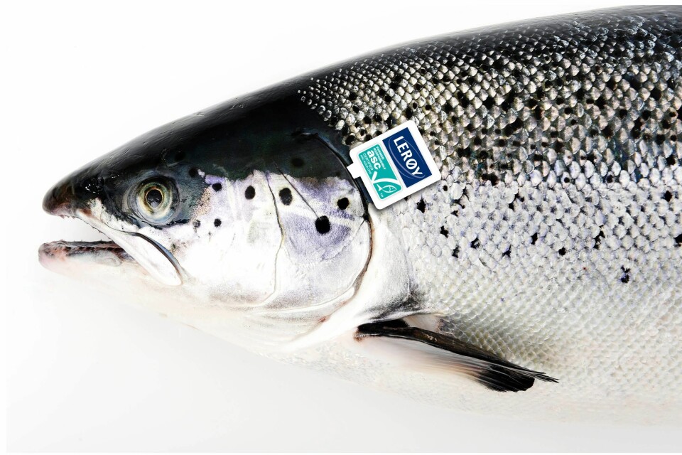 Lerøy slaktet litt mer enn forventet. Foto: Lerøy Seafood Group.
