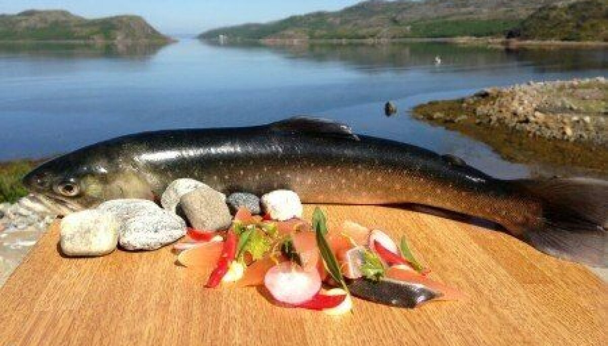 Smaken av Arktisk røye – Fra oppdrett til gastronomisk produkt