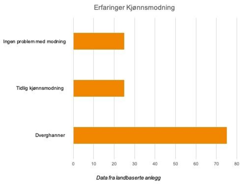 Figuren gir en oversikt over hvilken erfaring produsentene har med kjønnsmodning i landbasert oppdrett