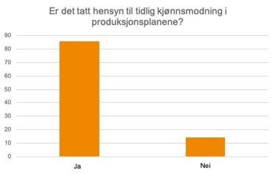 Denne figuren viser hvor mange av respondentene som har tatt hensyn til tidlig kjønnsmodning i sin produksjonsplanlegging for fullsyklus landbasert oppdrett