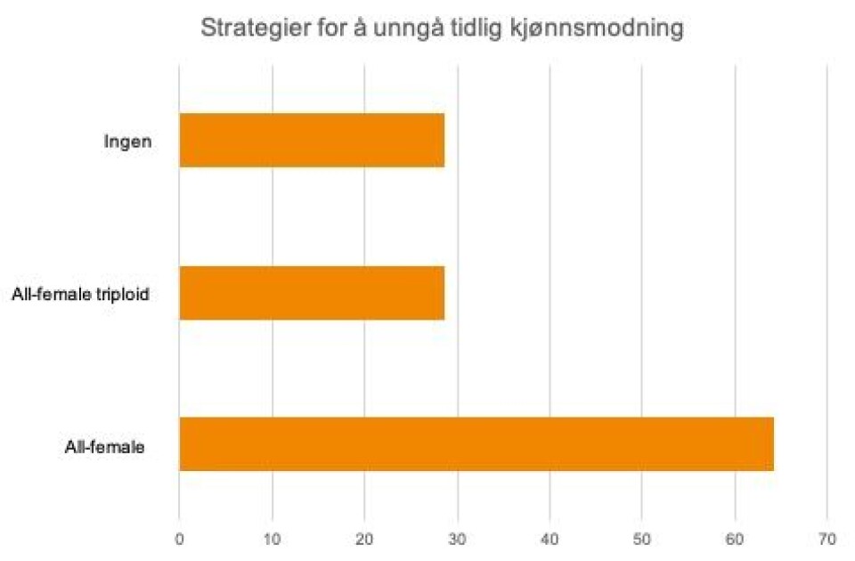 Denne figuren viser hvilke strategier aktørene har valgt for å unngå problem med tidlig kjønnsmodning i landbasert oppdrett
